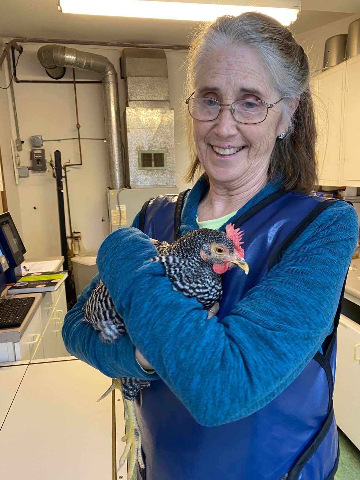 Champlain Veterinary Clinic